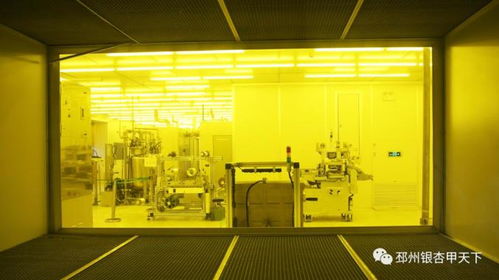 看企业 谈项目,市委书记吴卫东赴上海 苏州招商