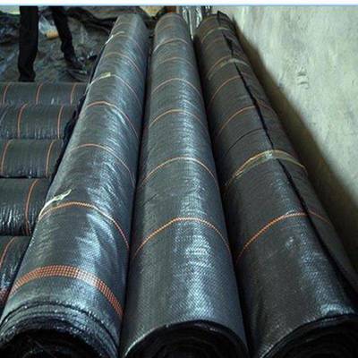 防草布地膜 透气性的除草地膜 园艺除草防草布